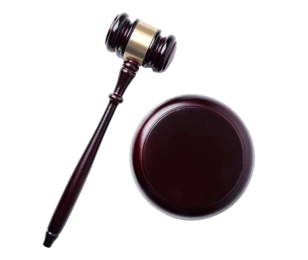 Judge Hammer